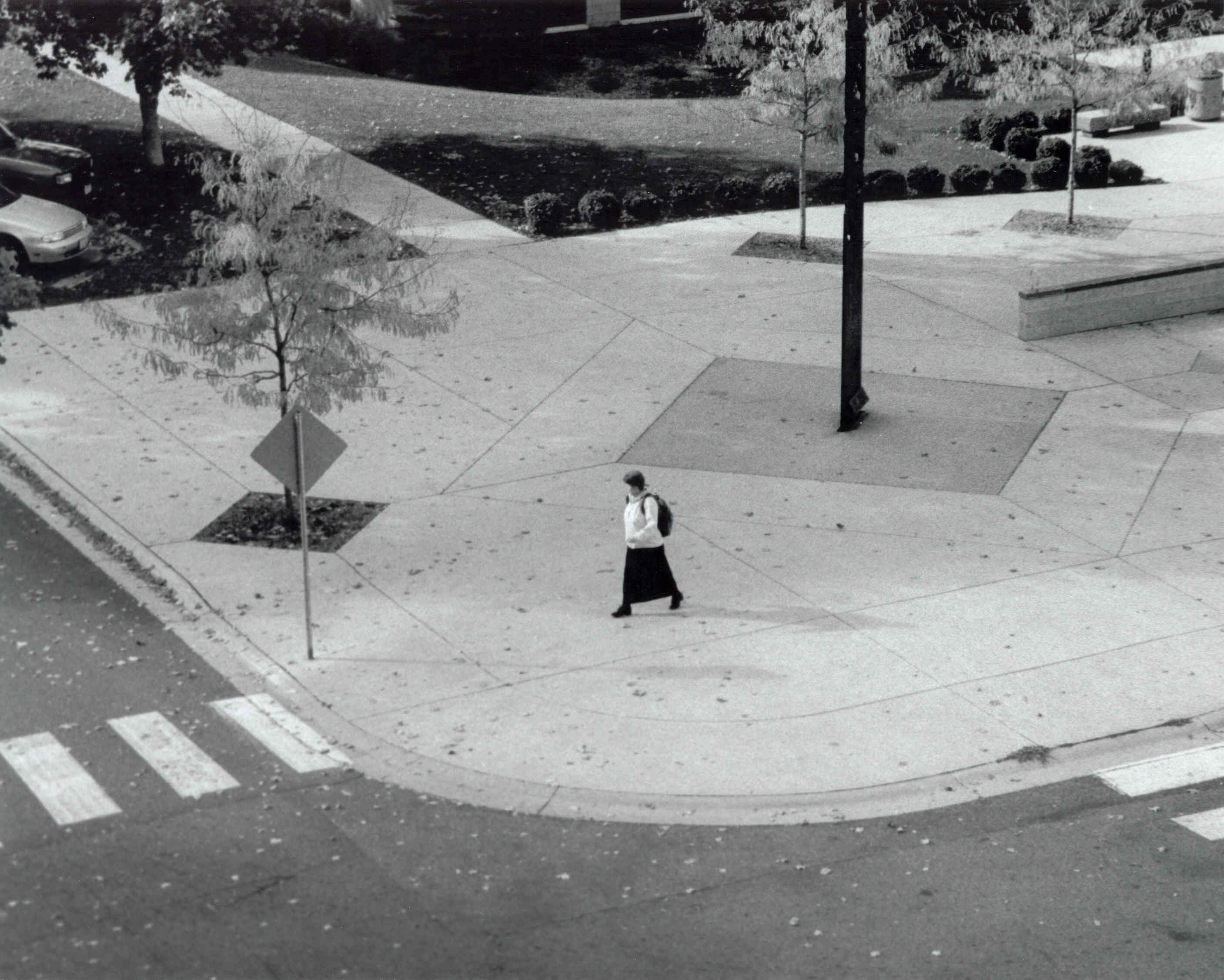 Only She Knows Where She Goes