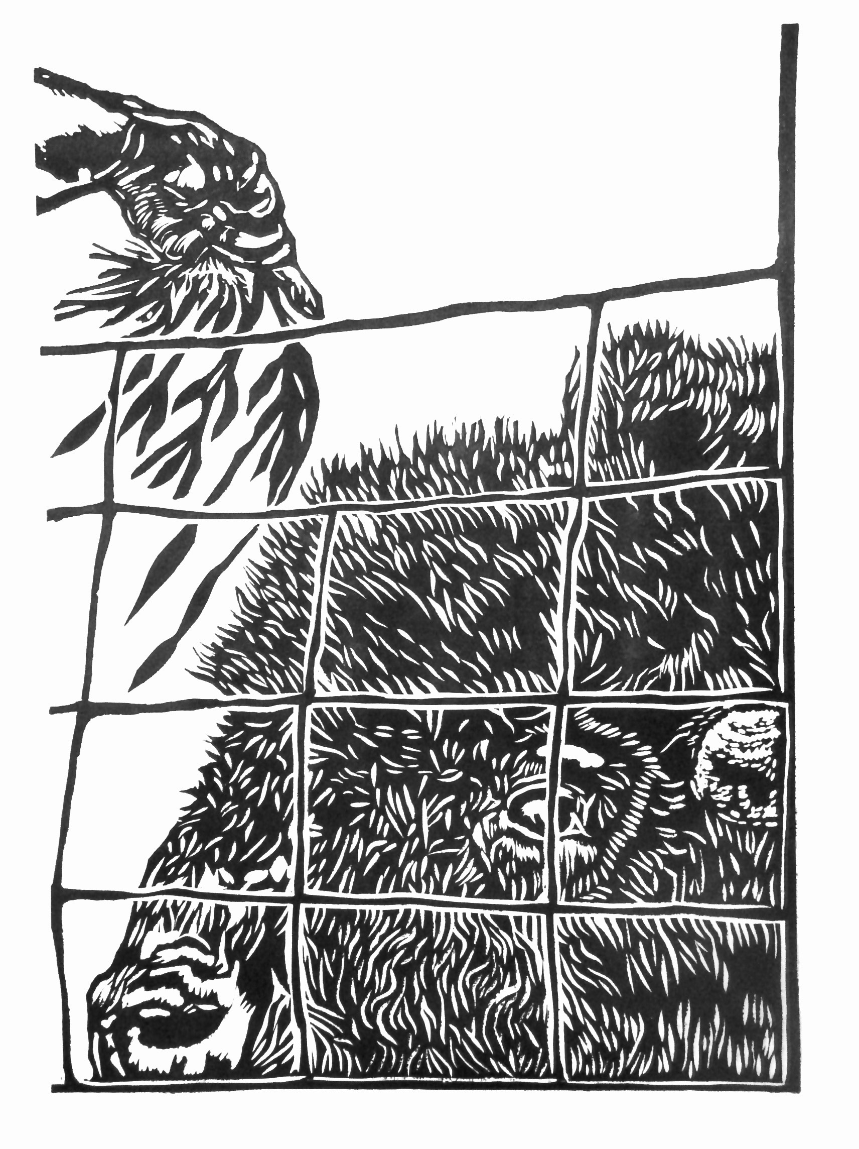 Buffalo and Feeding Hand Linocut